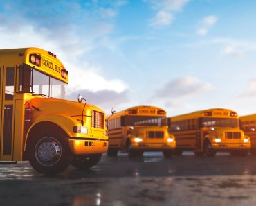 Yellow school bus fleet on parking